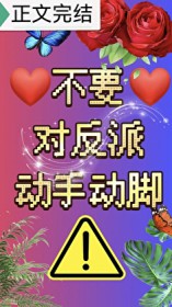 不要对反派动手动脚不要对反派动手动脚