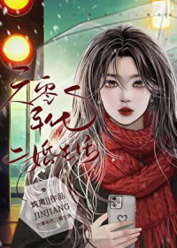 六零年代二婚生活六零年代二婚生活